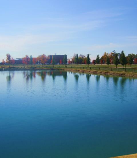 pond