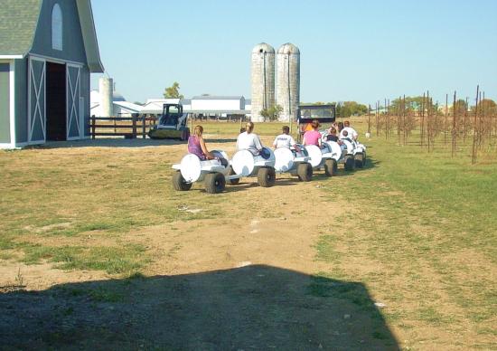 moo moo express