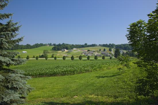 _YP07788
