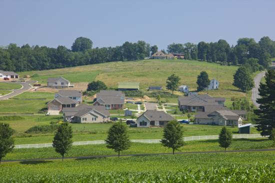 _YP07790