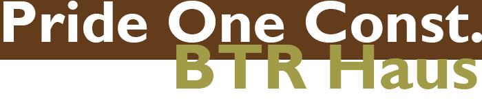 Pride One Construction/BTR Haus
