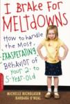 Meltdowns book