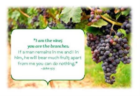 Vine and Branches.jpg