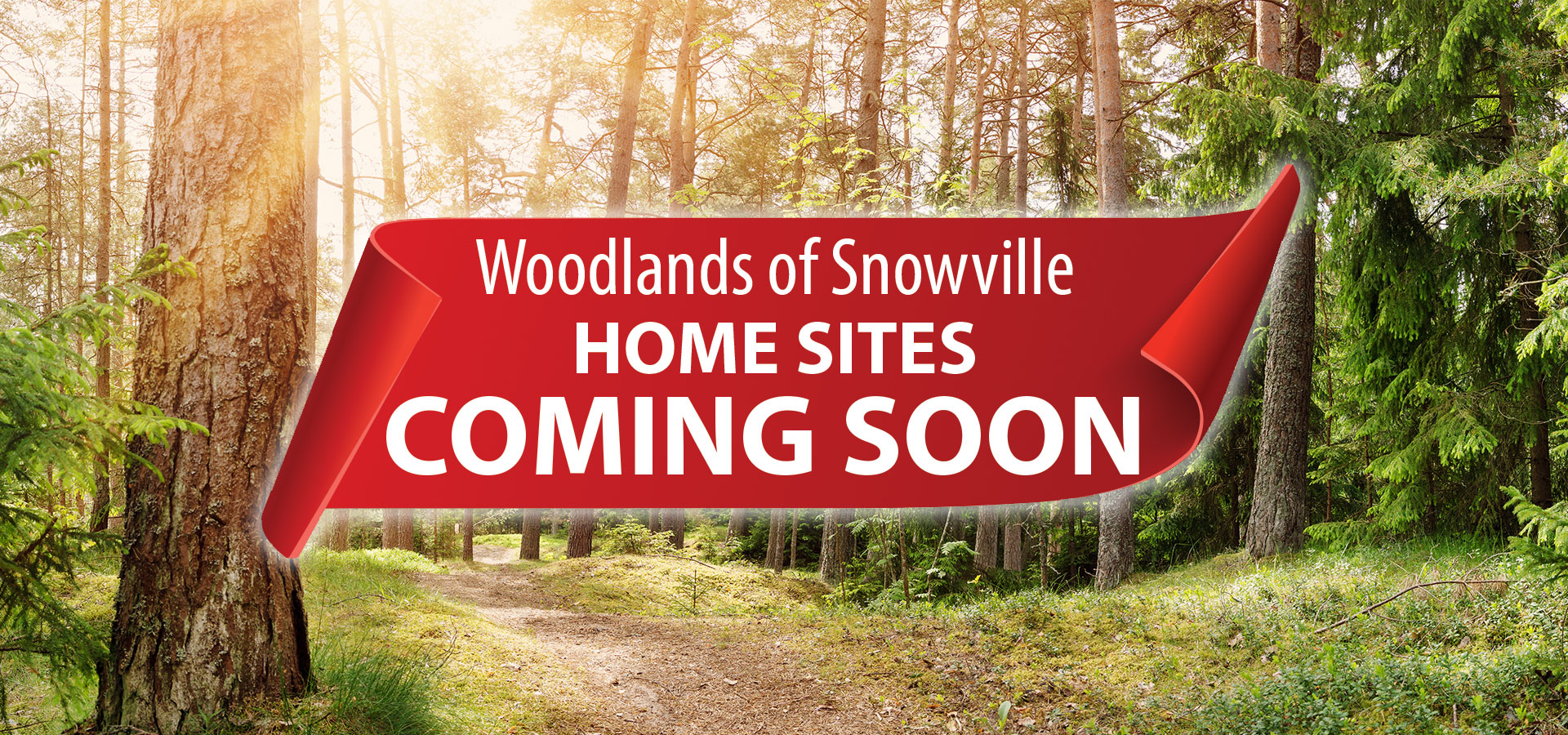 Woodlands of Snowville
